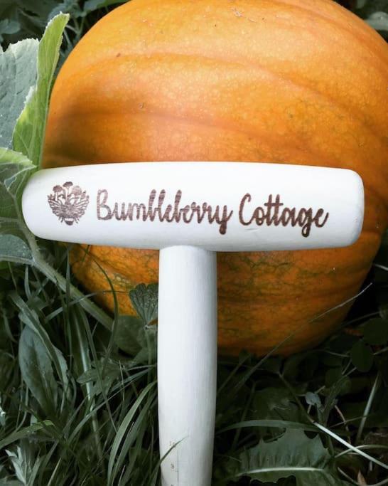 Bumbleberry Cottage Gresford Екстериор снимка